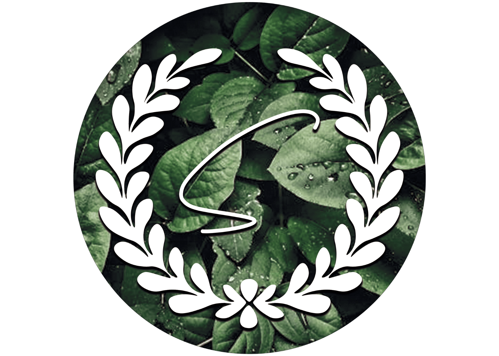 My Website